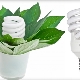 植物节能灯：特点、选择和操作