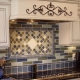 Delantal para la cocina de azulejos: ¿cómo elegir y diseñar?