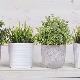 Pots de fleurs IKEA: types, designs et conseils de choix