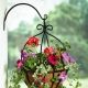Hvordan vælger man en hængende plantekasse til blomster?