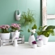 Ceramic flower pots: features, sizes and designs