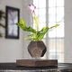 Vaso levitante per fiori da interno: caratteristiche e principio di funzionamento