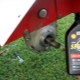 Olie til en bagkørende traktor: hvilken er bedre at fylde på, og hvordan skifter man?