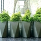 Floor pots for flowers: types, design and use in the interior