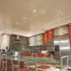厨房拉伸天花板：特点、类型和设计