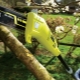 Features of Garden Electric Pole Pruning Machine