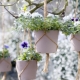 Hanging flower pots: how to choose and hang?