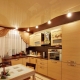 Gipsplaten plafond in de keuken: soorten, vormen en design
