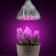 Ultrafialové lampy pro rostliny: vlastnosti, typy a pravidla použití