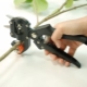 All about grafting secateurs