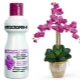 Jak používat Fitosporin pro orchideje?