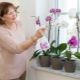 Jak oživit orchidej?