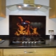 How to choose a screen for a gas stove?