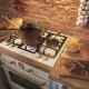 A set of hob and oven: options, tips for choosing and using