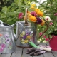 Watering can for flowers: features of choice