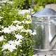 Metal watering cans: characteristics and subtleties of choice