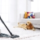 LG vacuum cleaners with a dust container: range and selection recommendations