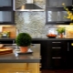 Working area in the kitchen: subtleties of design and interesting examples