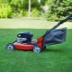 Carver lawn mowers: pros and cons, types and tips for choosing