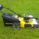Champion petrol lawn mowers: what are they and how to choose?