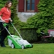 Electric lawn mowers: device, rating and selection