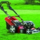 AL-KO lawn mowers: pros and cons, varieties, choice, operation