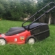 Efco lawn mowers and trimmers
