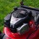 Sekačky na trávu s motorem Briggs & Stratton: vlastnosti, typy a použití