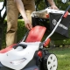 Lawn mowers Sterwins: description, types and operation