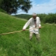 How to mow the grass with a scythe?