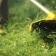 How to properly cut grass with a line trimmer?