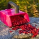 How to make a do-it-yourself berry harvester?