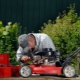 Do-it-yourself lawn mower repair features