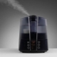 Steam humidifiers: description, types and recommendations for choosing