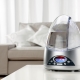 Air humidifiers for an apartment: an overview of types, the best models and selection criteria