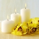 Wax candles: what are they and how to use them?