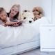 Daikin humidifiers and air purifiers: features and models