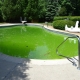 Poolwasser wird grün: Möglichkeiten zur Reinigung und Vorbeugung des Problems