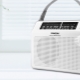 袖珍收音机：品种和最佳型号