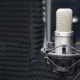 Condenser microphones: what are they and how to connect?