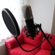 Alegerea unui microfon pentru înregistrarea vocii
