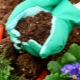 Caratteristiche dei fertilizzanti batterici e loro utilizzo