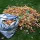 Jak vyrobit listový kompost?
