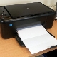 Why won't the HP printer print and what should I do?