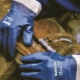 Features and selection of nitrile coated gloves