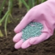 Tipi di fertilizzanti azotati e regole per il loro uso