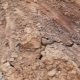 ¿Qué es el suelo arenoso y en qué se diferencia de la arena?