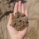 Features of river sand