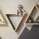 All about plywood shelves