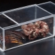 有机玻璃盒：应用和选择的特点